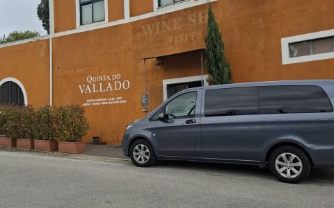 Paulo_Santos_Transfers_5